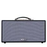 Loa Karaok ACNOS NL446R