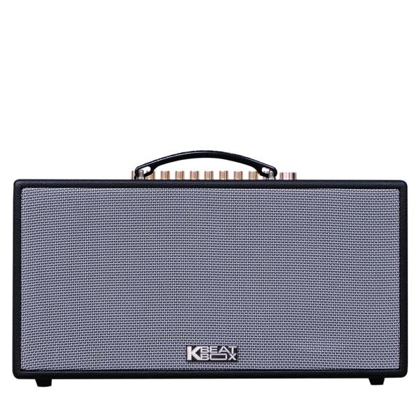 Loa Karaok ACNOS NL446R