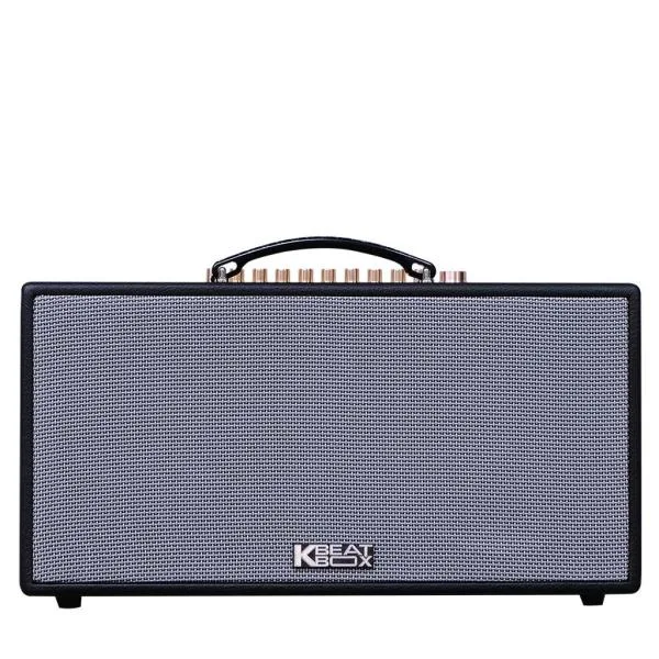 Loa Karaok ACNOS NL446R