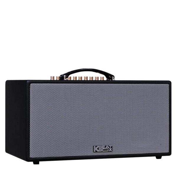 Loa Karaok ACNOS NL446R