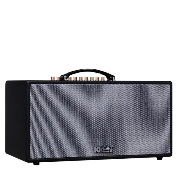 Loa Karaok ACNOS NL446R