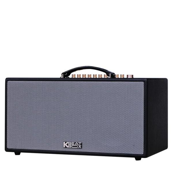 Loa Karaok ACNOS NL446R