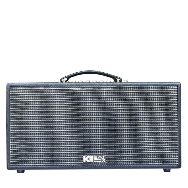 Loa Karaok ACNOS CS447R
