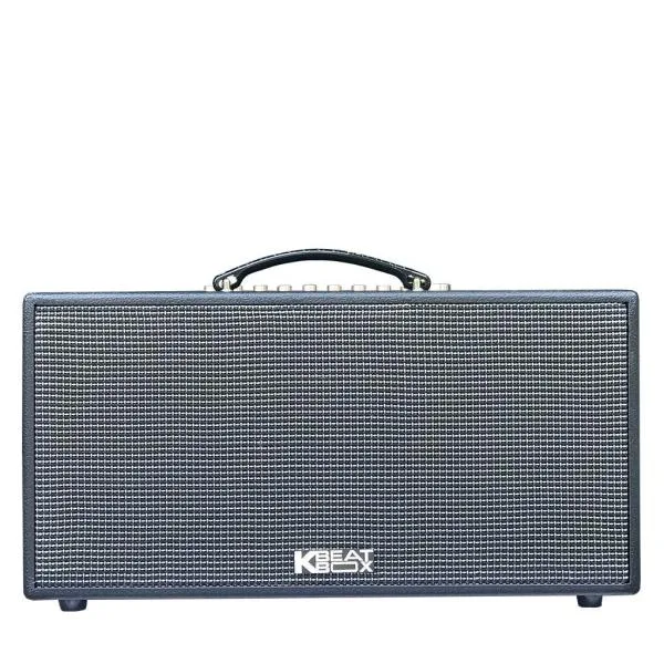 Loa Karaok ACNOS CS447R