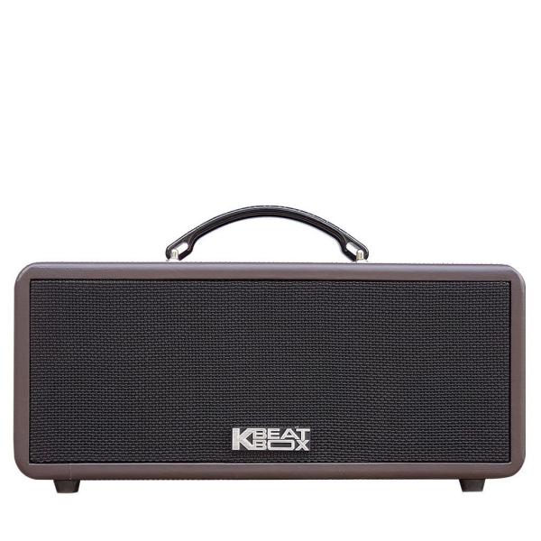 Loa Karaok ACNOS KS362S