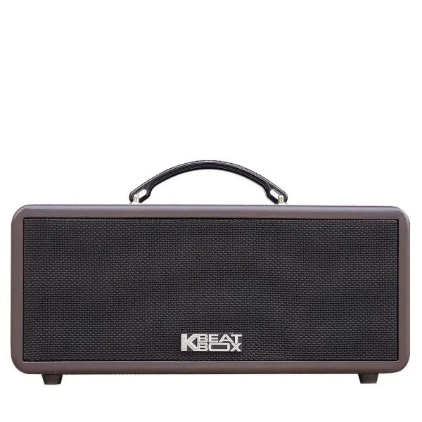 Loa Karaok ACNOS KS362S