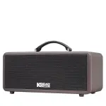 Loa Karaok ACNOS KS362S