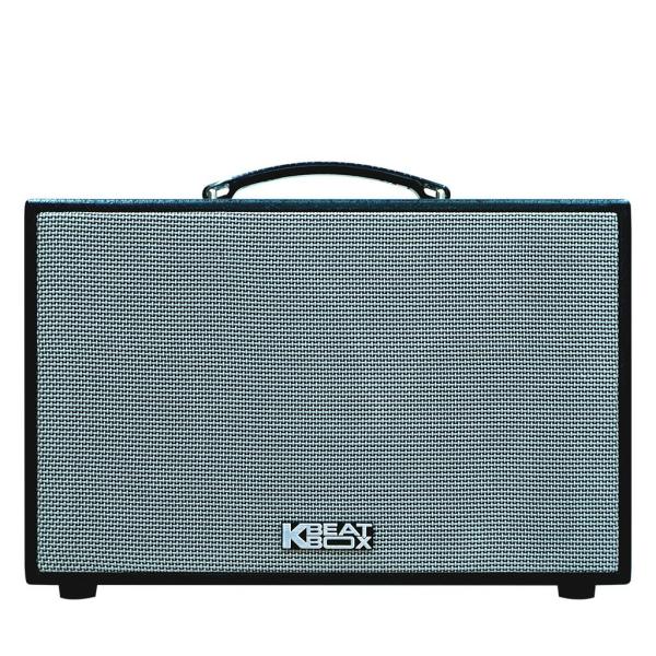 Loa Karaok ACNOS CS250SON Đen