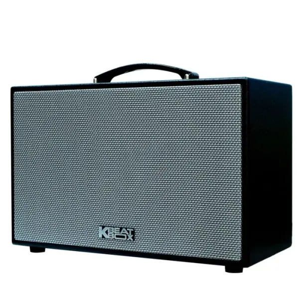 Loa Karaok ACNOS CS200SON Đen