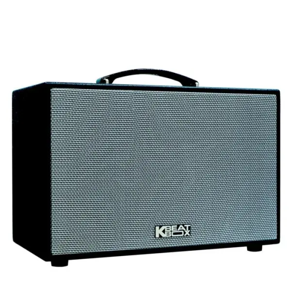 Loa Karaok ACNOS CS200SON Đen