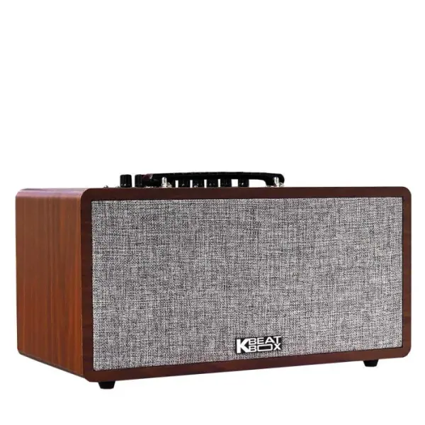 Loa Karaok ACNOS CS390