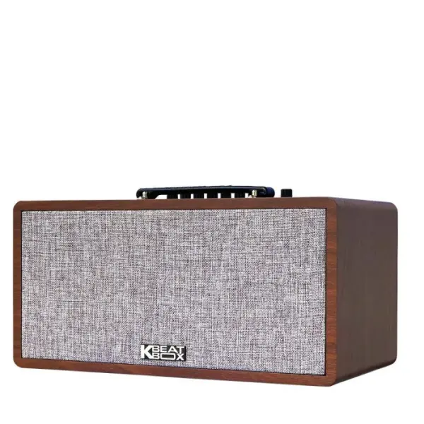 Loa Karaok ACNOS CS390