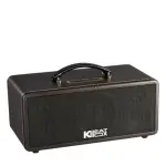 Loa Karaok ACNOS KS361M