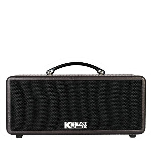 Loa Karaok ACNOS KS361