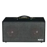 Loa Karaok ACNOS KSNET450