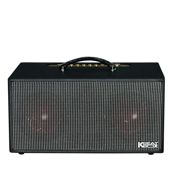 Loa Karaok ACNOS KSNET450