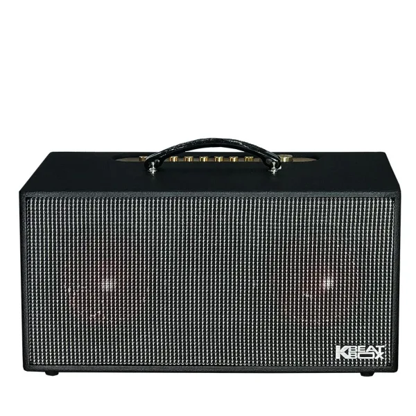 Loa Karaok ACNOS KSNET450