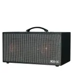 Loa Karaok ACNOS KSNET450