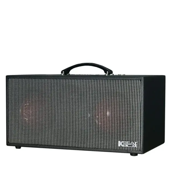 Loa Karaok ACNOS KSNET450