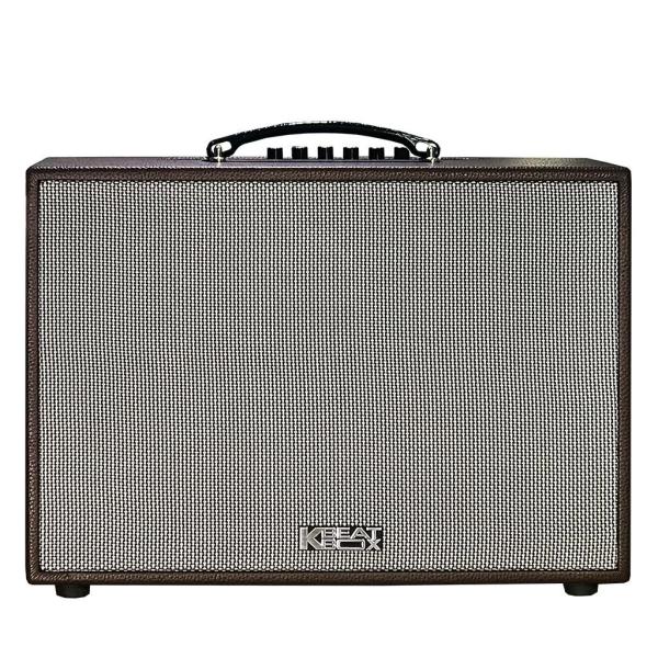 Loa Karaok ACNOS CS250PU Nâu