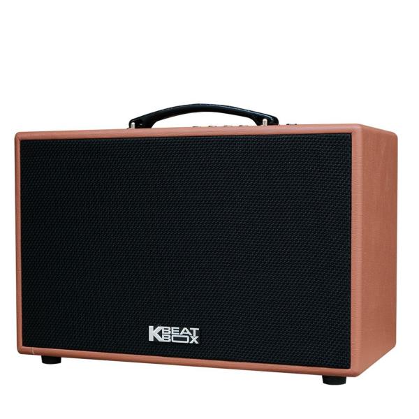 Loa Karaok ACNOS CS250PU Nâu Nhạt