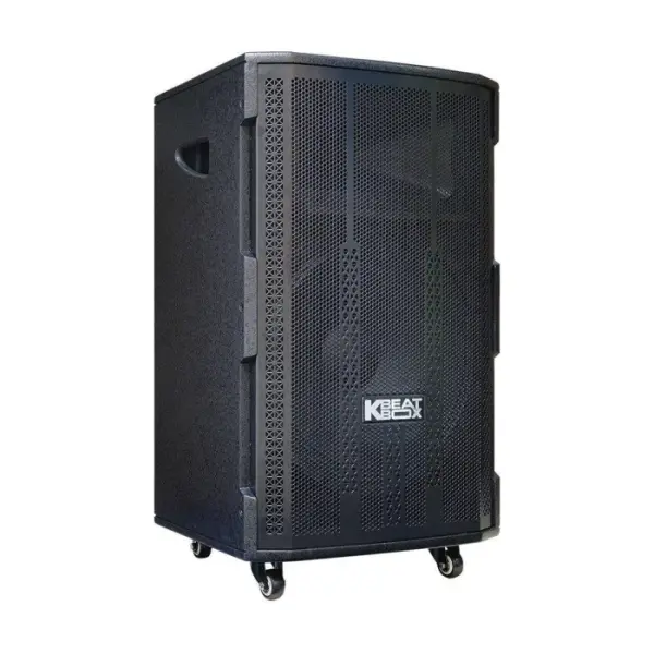 Loa Karaok ACNOS 15S1