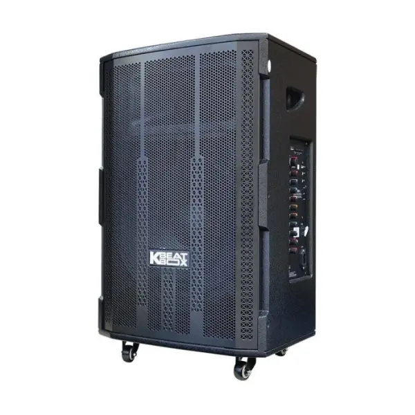 Loa Karaok ACNOS 15S1
