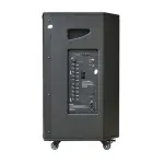 Loa Karaok ACNOS CB302G