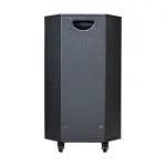 Loa Karaok ACNOS CB302G
