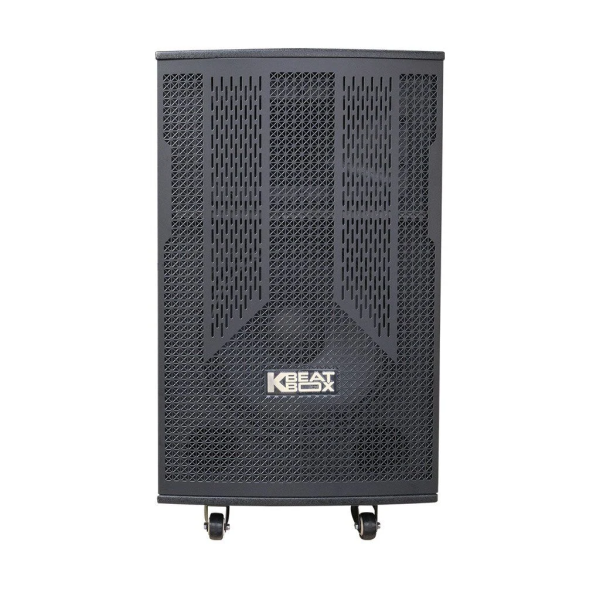Loa Karaok ACNOS CB30T550