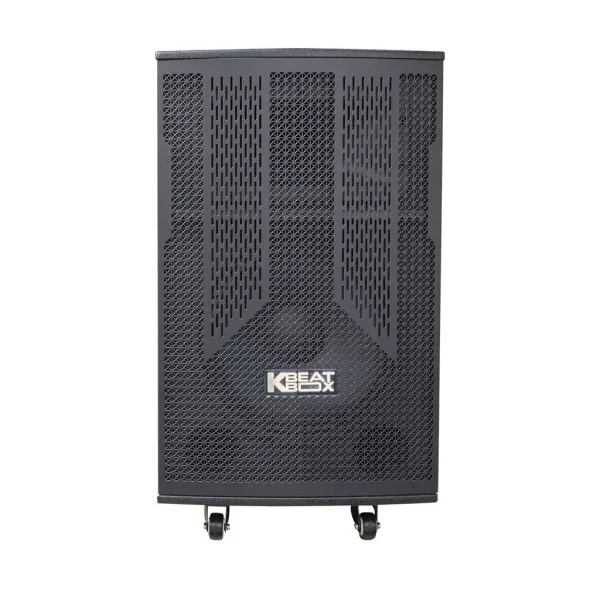 Loa Karaok ACNOS CB302G