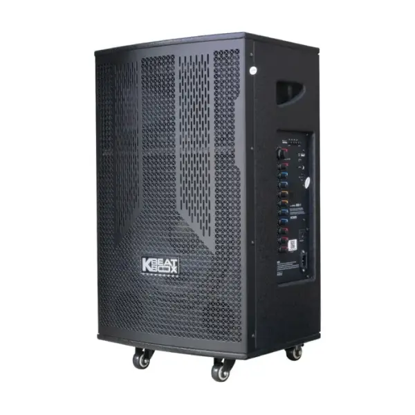 Loa Karaok ACNOS CB302G
