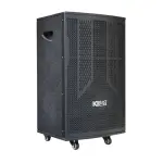 Loa Karaok ACNOS CB302G