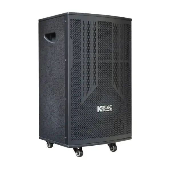Loa Karaok ACNOS CB302G