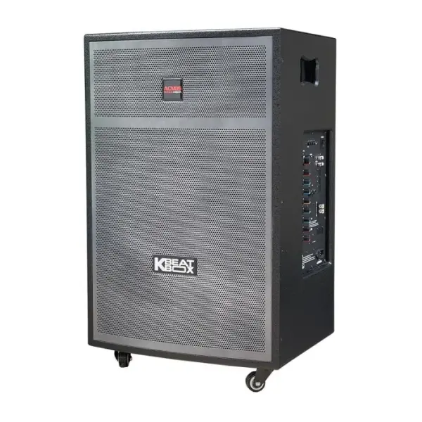 Loa Karaok ACNOS CB40T600