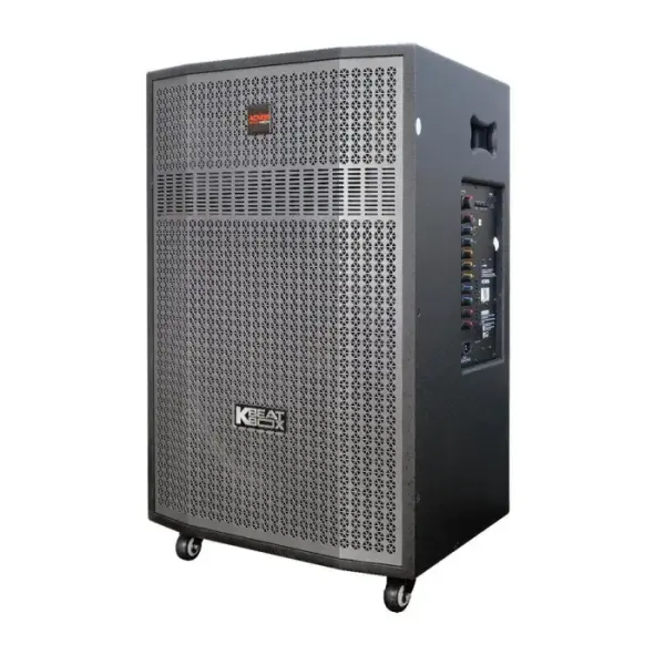 Loa Karaok ACNOS CB56GD