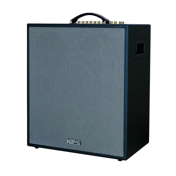 Loa Karaok ACNOS CS551