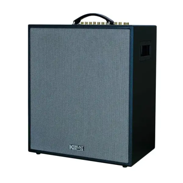 Loa Karaok ACNOS CS551