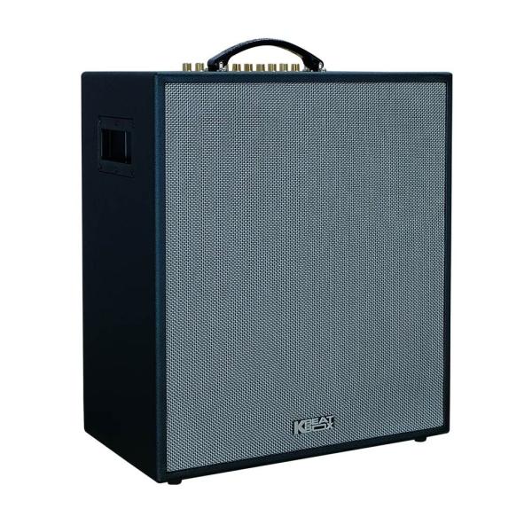 Loa Karaok ACNOS CS551