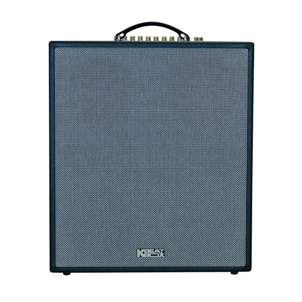 Loa Karaok ACNOS CS551