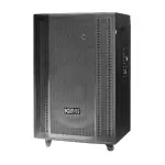 Loa Karaok ACNOS CB501GN