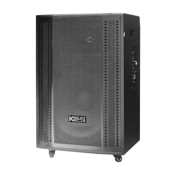 Loa Karaok ACNOS CB501GN