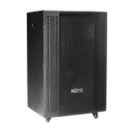 Loa Karaok ACNOS CB501GN