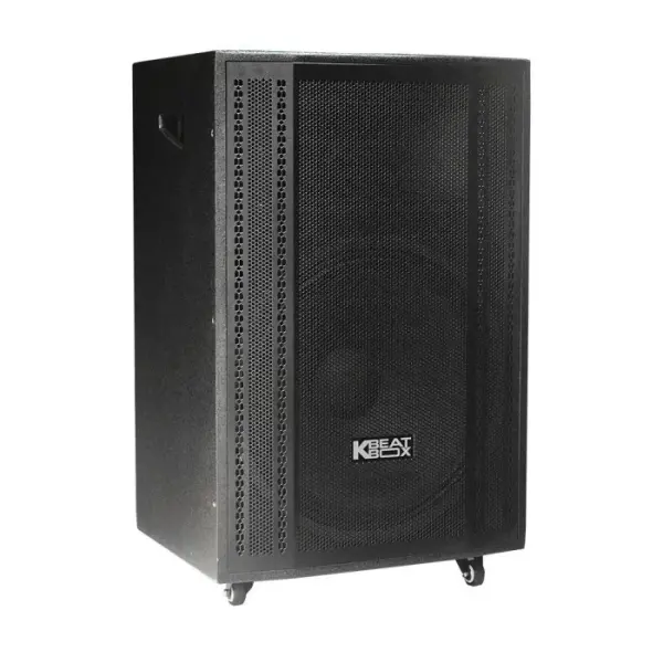 Loa Karaok ACNOS CB501GN