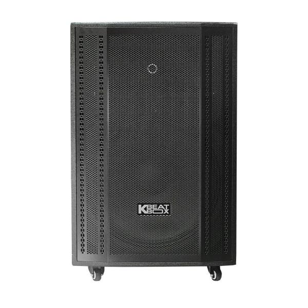 Loa Karaok ACNOS CB501GN