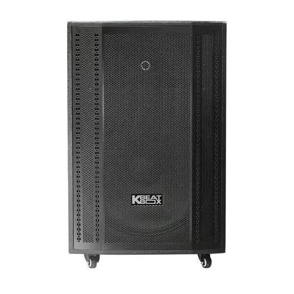 Loa Karaok ACNOS CB501GN