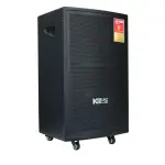 Loa Karaok ACNOS CB31