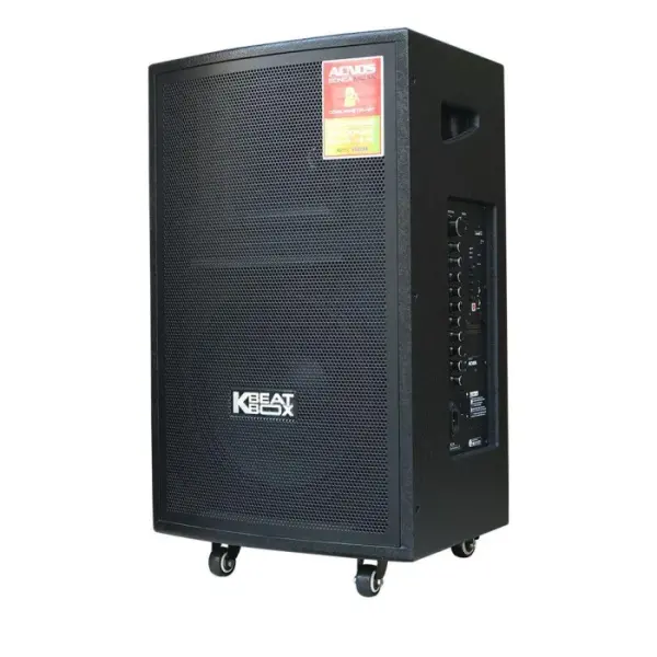 Loa Karaok ACNOS CB31