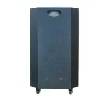 Loa Karaok ACNOS CB99GR
