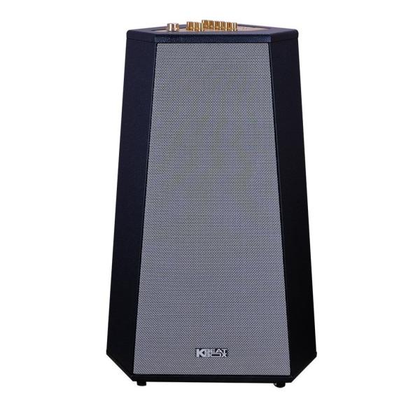 Loa Karaok ACNOS CS500